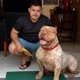 *CANIL BK BULL KENNEL*