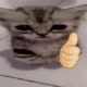 DENI MEMES