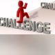 CHALLENGE DO PETU