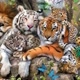 ANIMAIS SELVAGENS EM AÇÃO