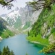 Nature's Odyssey