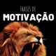 motivação_80