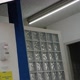 história de caçadores