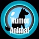 Humor Animal