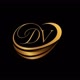 DiversiVibe