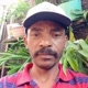 Pedreiro do rei da trena Oficial