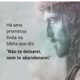 palavras da verdade