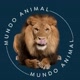 Mundo Animal 🌍🐾🐆