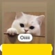 Diniz