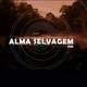 ALMA SELVAGEM TV.📺