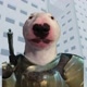 WALTER_OF _CATARINA
