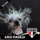 ＠Davi Rodrigues