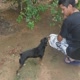 moises lmp