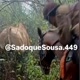 ＠SadoqueSousa.