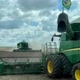 Agro brasil 🇧🇷