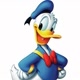DONALD  EV