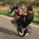 DL GRAU