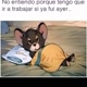 LeOaLeX