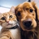 LOVE PETS🐾🐾