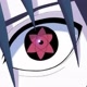 AnimeMania#