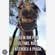 COMÉDIAS ENGRAÇADAS 🤣