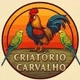 Criatório carvalho 🐓