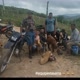 equipe da serra🐕
