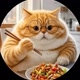 Orange Cat