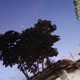 ＠_𝒜𝓁𝒾𝒸𝑒😻_