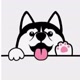 Brincadeira Pets