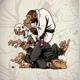 BJJ por Diversão