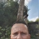 Alessandro Andrade