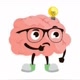 Quiz Pessanha