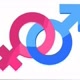 educacaointima