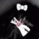LOYCK_HACKE