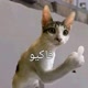 مـ⃪ـ⃪ضـــحك😂