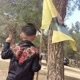 Aras. Kobanî