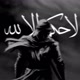 الصارم المسلول على شاتم الرسول