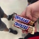 Zane