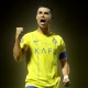 sportsfury_