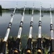 Mundo da pesca. 🎣