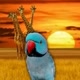 den.awi