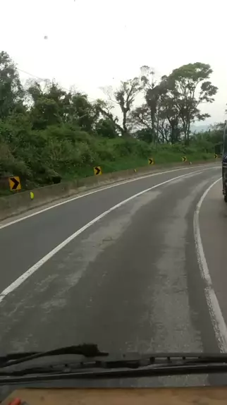 mikki silveira age | Discover