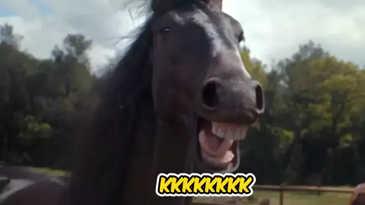 CBLOL - cavalo kkk aql meme