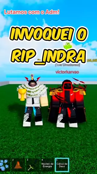 rip indra no one piece