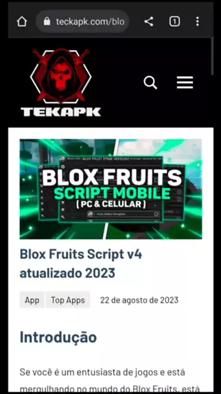 Blox Fruits Arceus X Script Mobile 2023