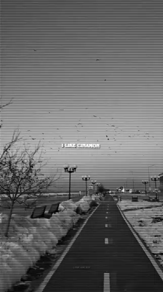 like innocams | Discover