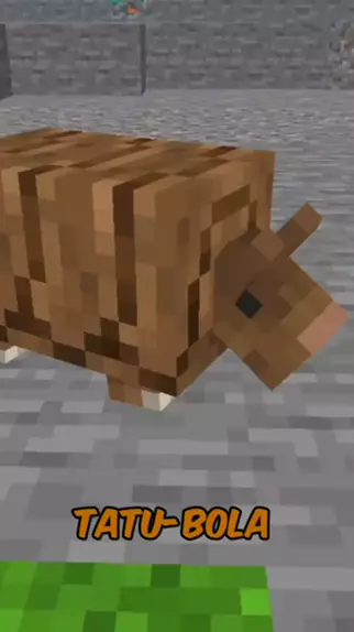 minecraft tatu bola