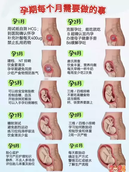 马拉松运动员饮食建议 | Discover
