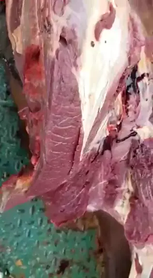 ABATE DE CAVALO PARA FAZER CARNE SECA PASSO A PASSO IMAGENS CHOCANTES. 